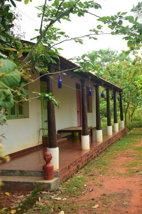 Paradise Quest Nature Farmhouse Villa Kalapettai ภายนอก รูปภาพ